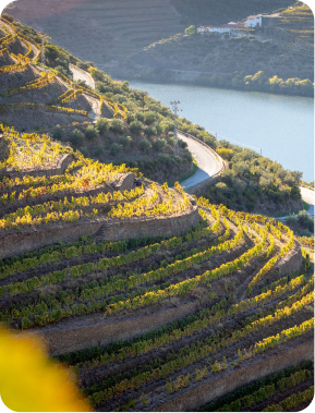 Porto e Douro
